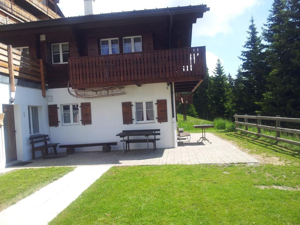 Grazia Apartamento